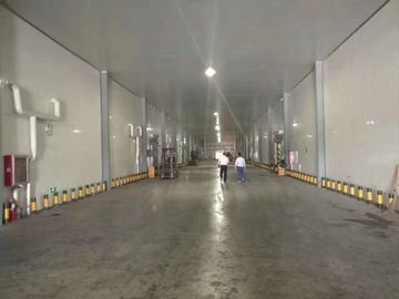 Moduł magazynu przemysłowego do przechowywania w zamrażarce Konstrukcja modułu Łatwa w instalacji
