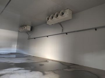 Klimatyzowana przechowalnia zamrażarki z trwałymi panelami warstwowymi z PU