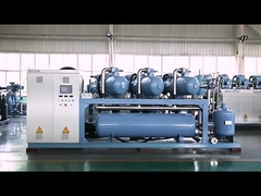 Wysokiej wydajności mechanizm ciśnienia powietrza ze złączoną śrubą Sprzedaż na zamówienie dla jednostek kondensacyjnych Chłodzenie